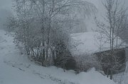 IMG_4611