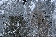 IMG_4678