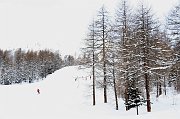 IMG_4730