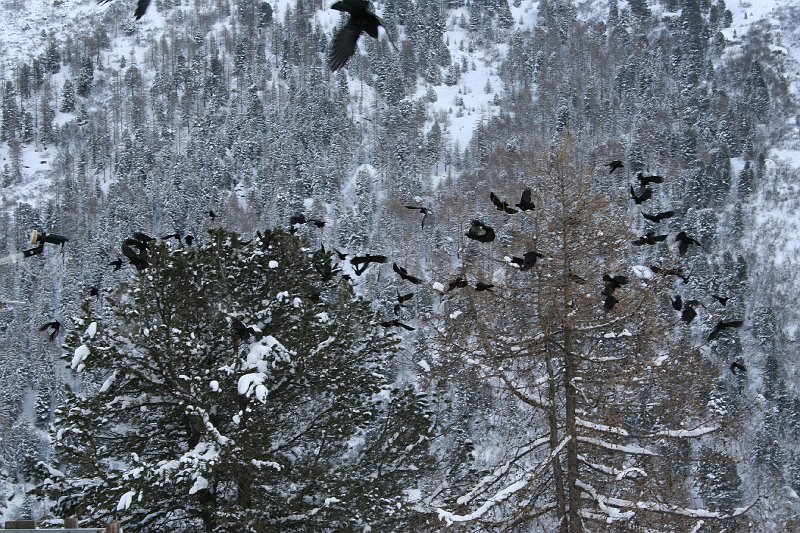 IMG_4678.JPG