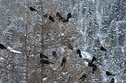 IMG_4681