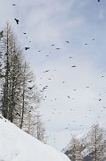 IMG_4873