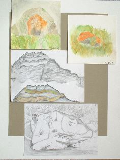 DSCF0814