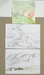 DSCF0824