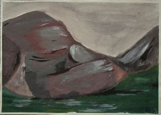 DSCF0860
