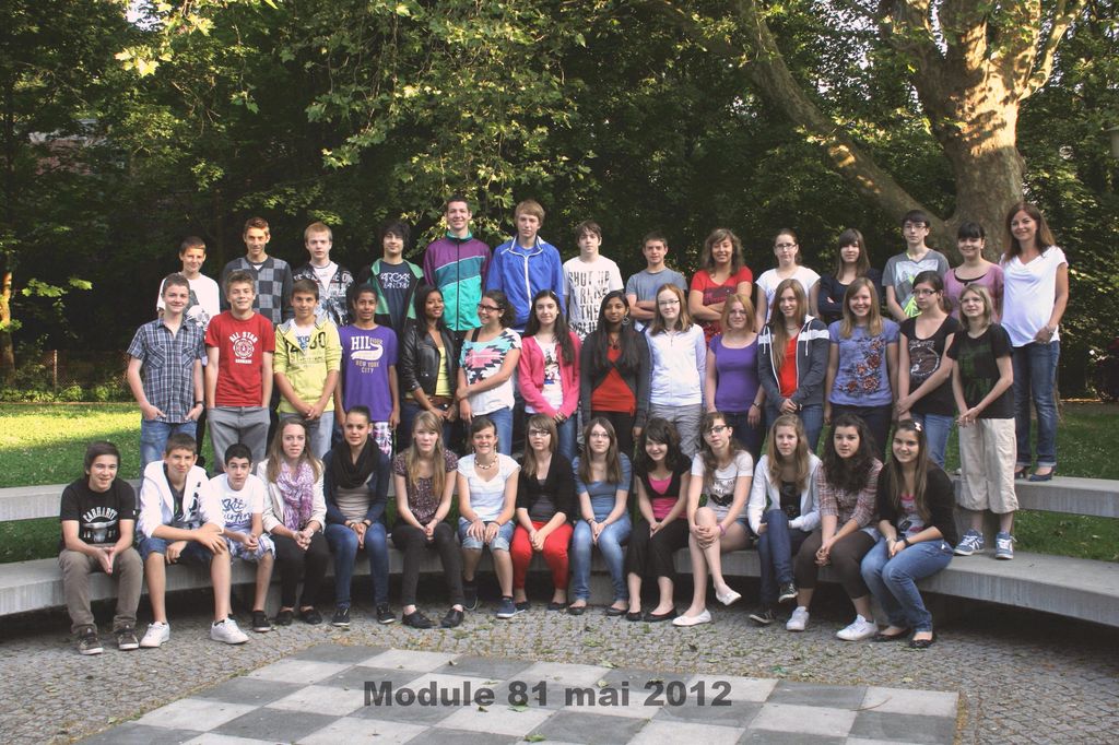 mod81