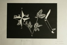 IMG_0022