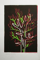 IMG_0009_1