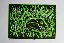 IMG_0011