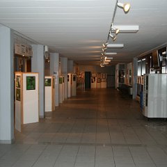 IMG_3967