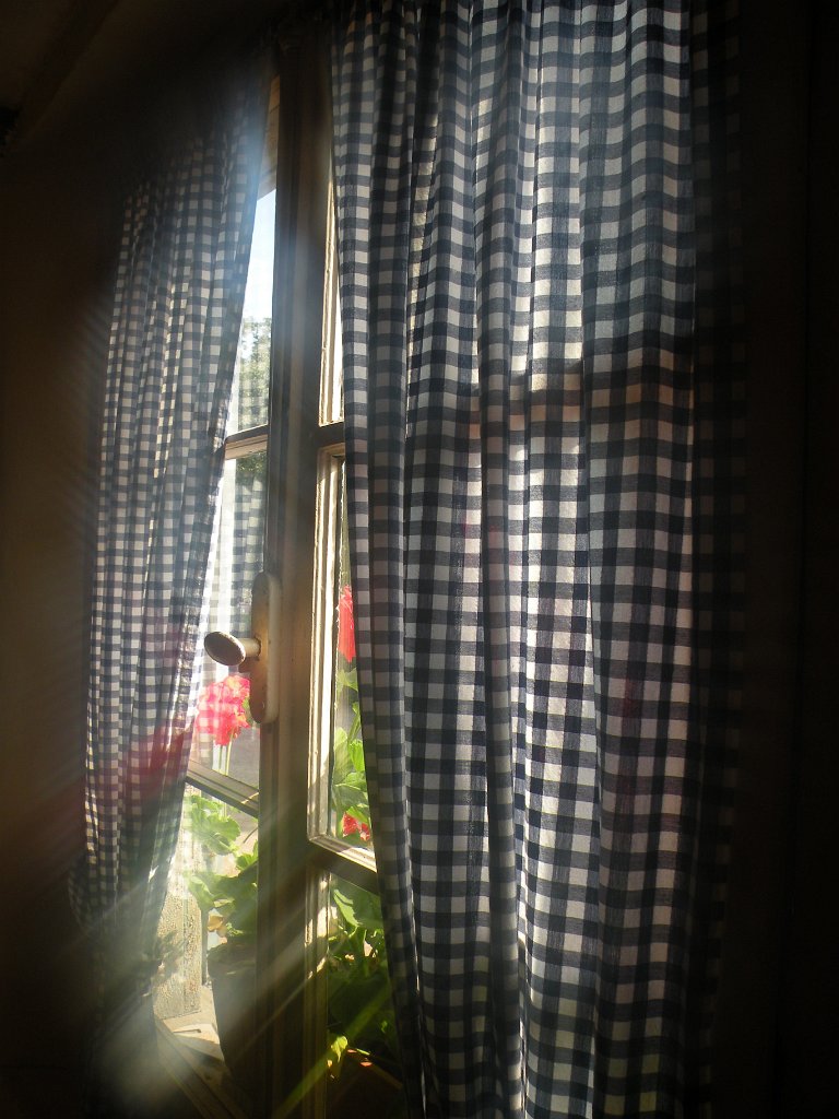 clara_384