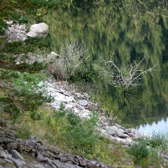 charlotte_064