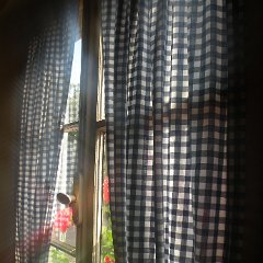 clara_384
