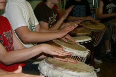 IMG_6246