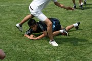 IMG_6554