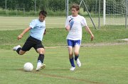 IMG_6781
