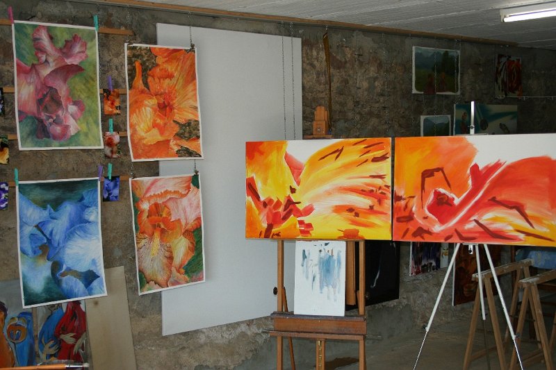 AT2008_01.jpg