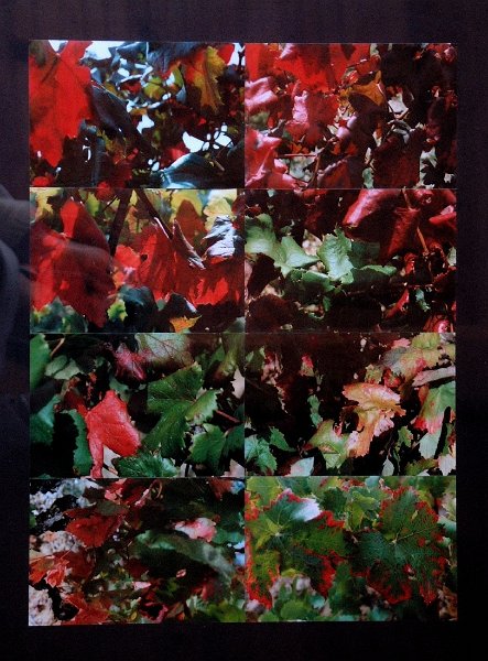 1999_01.JPG